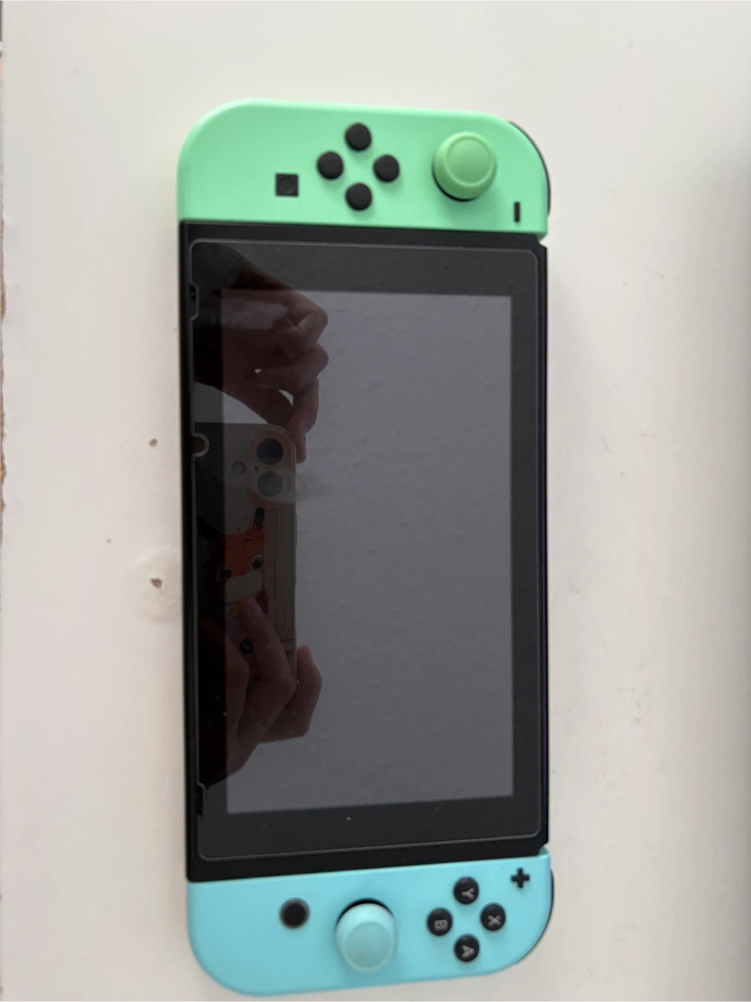 【Nintendo Switch Animal Crossing: New Horizon Edition】