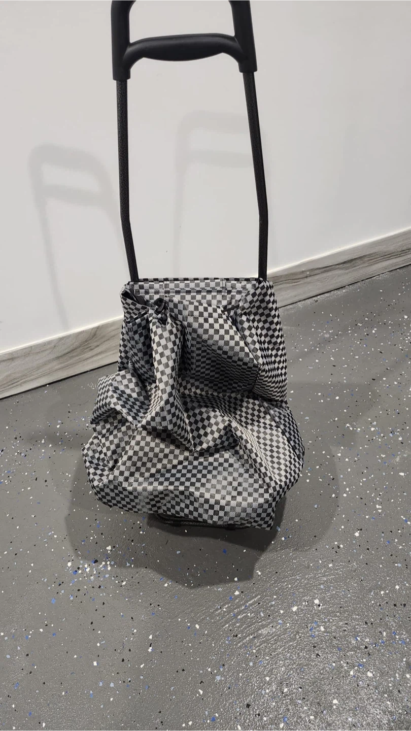 Shopping Cart with Checkerboard Bag