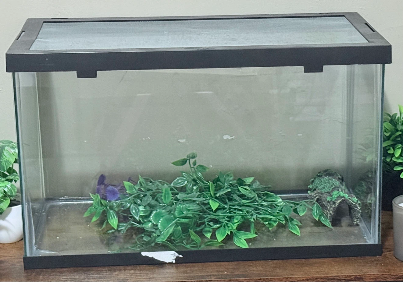 Glass Terrarium Tank - photo 5