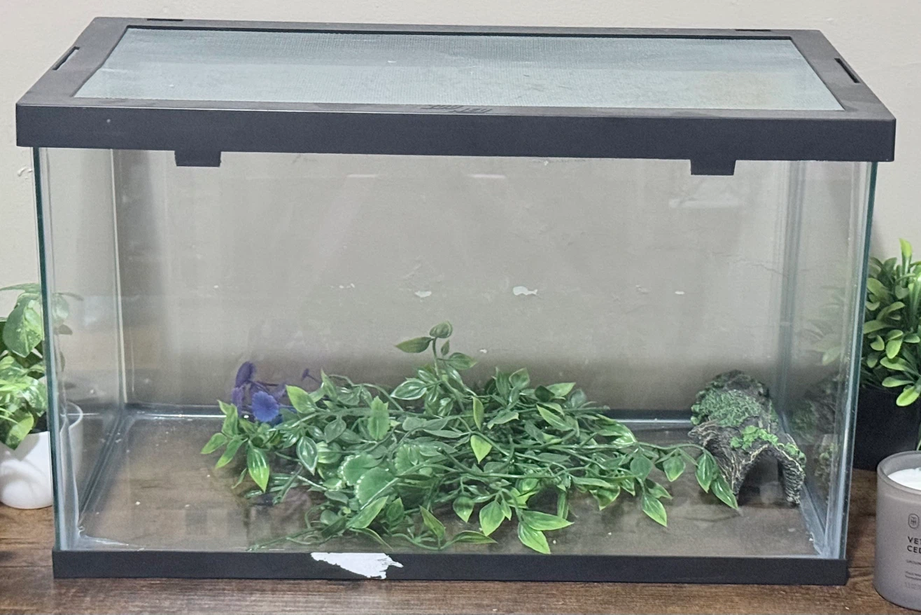 Glass Terrarium Tank - photo 3