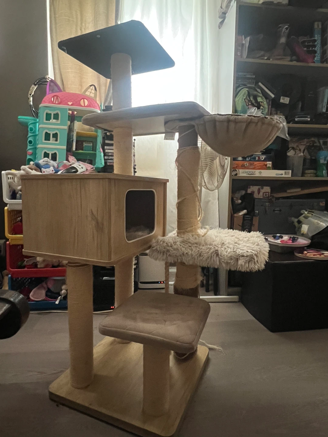 Cat free - photo 2