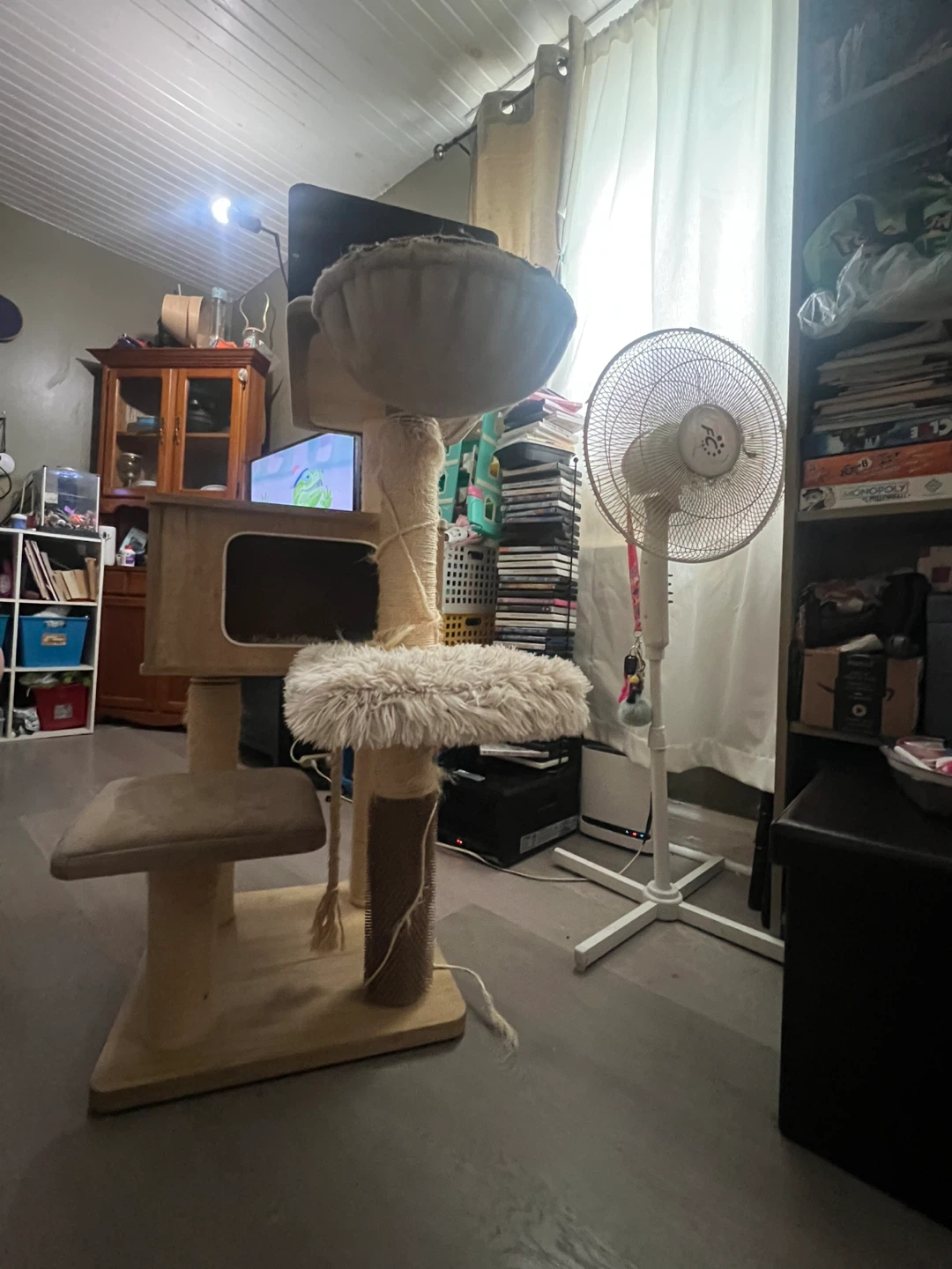 Cat free - photo 3