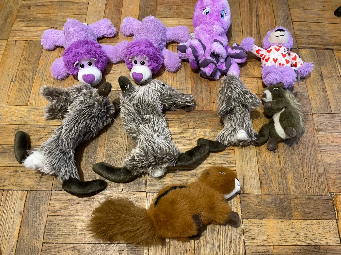 Dog Toys Lot