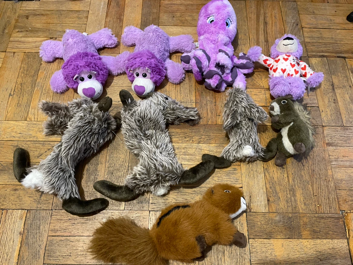 Dog Toys Lot - photo 2