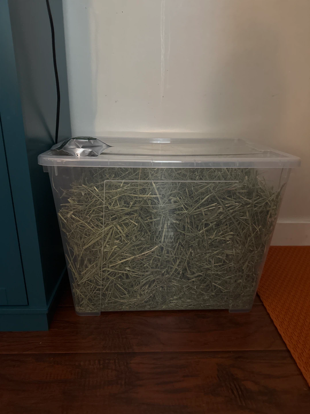 Timothy Hay FREE with bin.