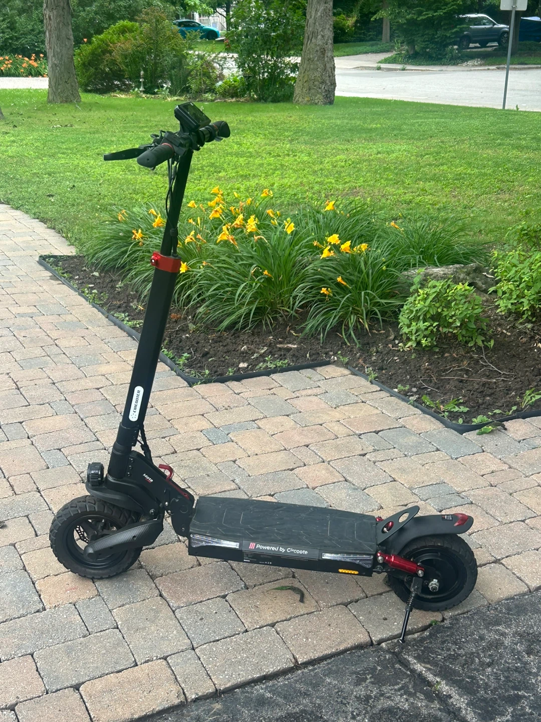Circooter Electric Scooter