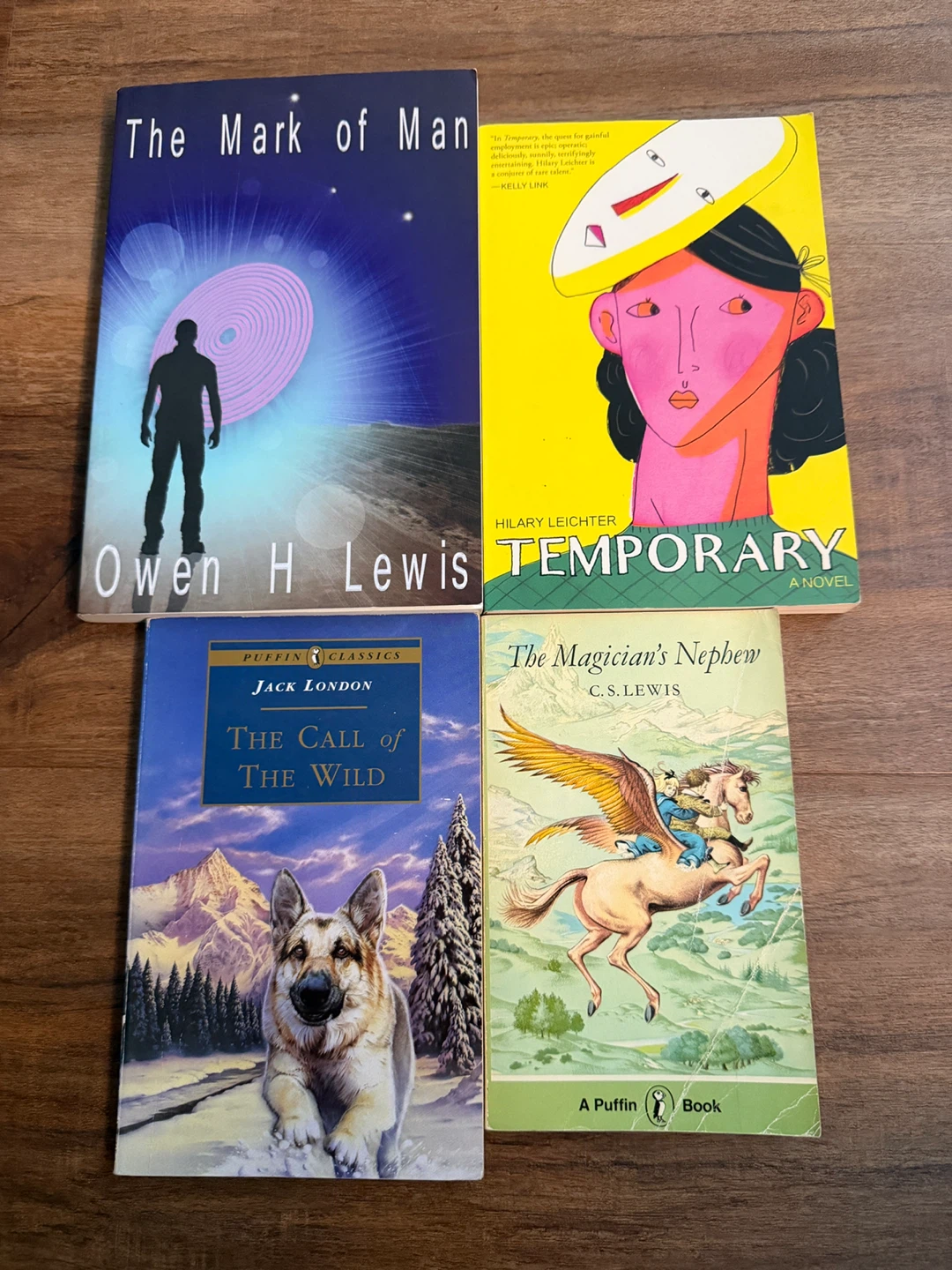 Fiction - Novels and Poetry - L