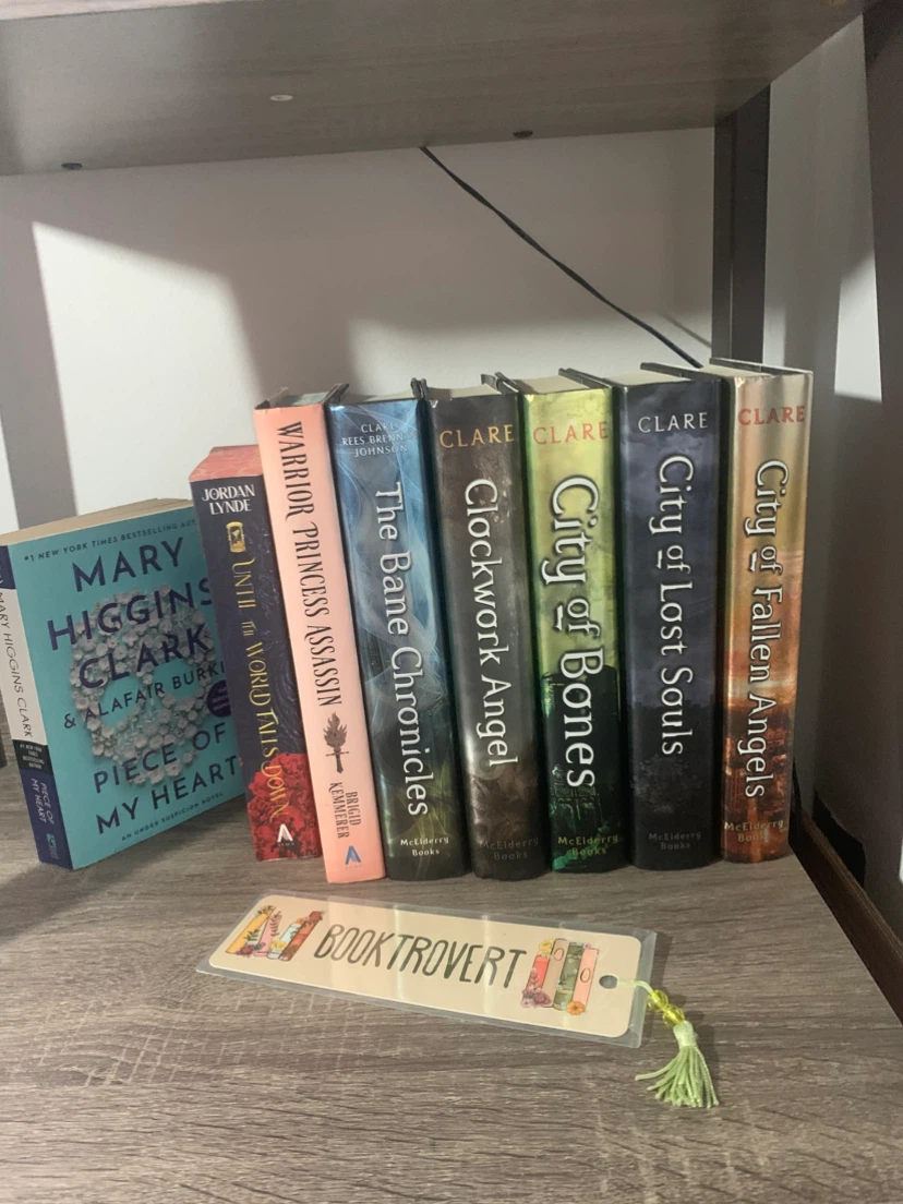 Book Bundle