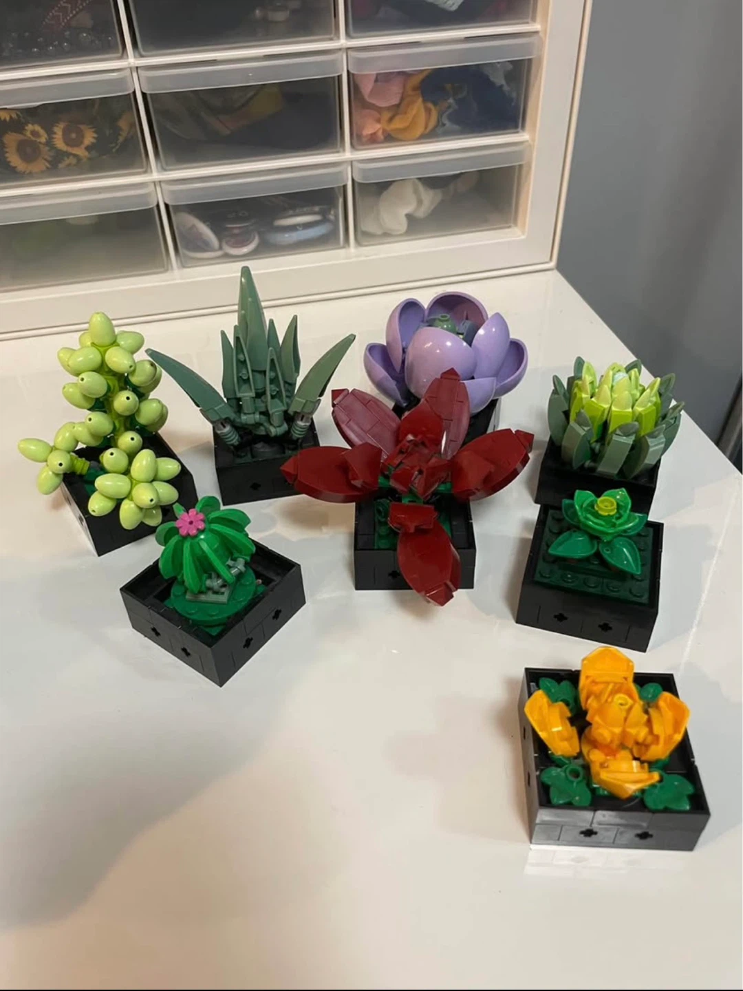 LEGO Botanical Collection Succulents Set #10309 - photo 2