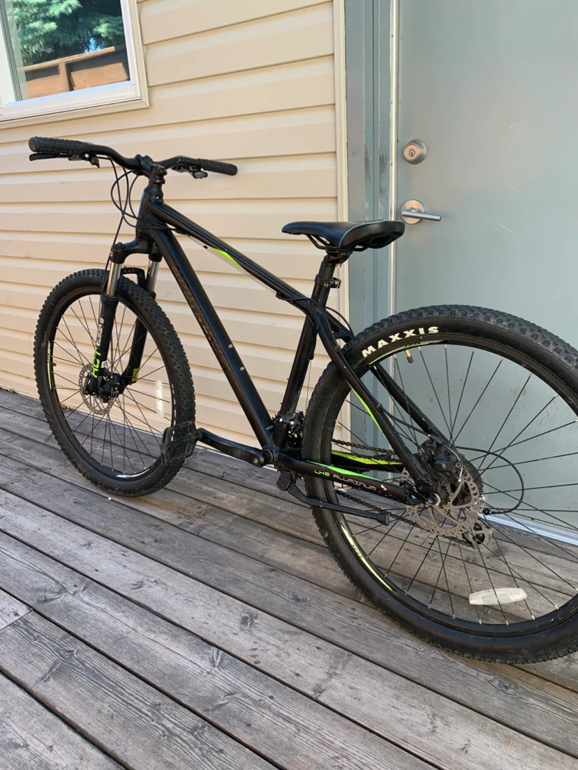 MINTY HARDTAIL!!!