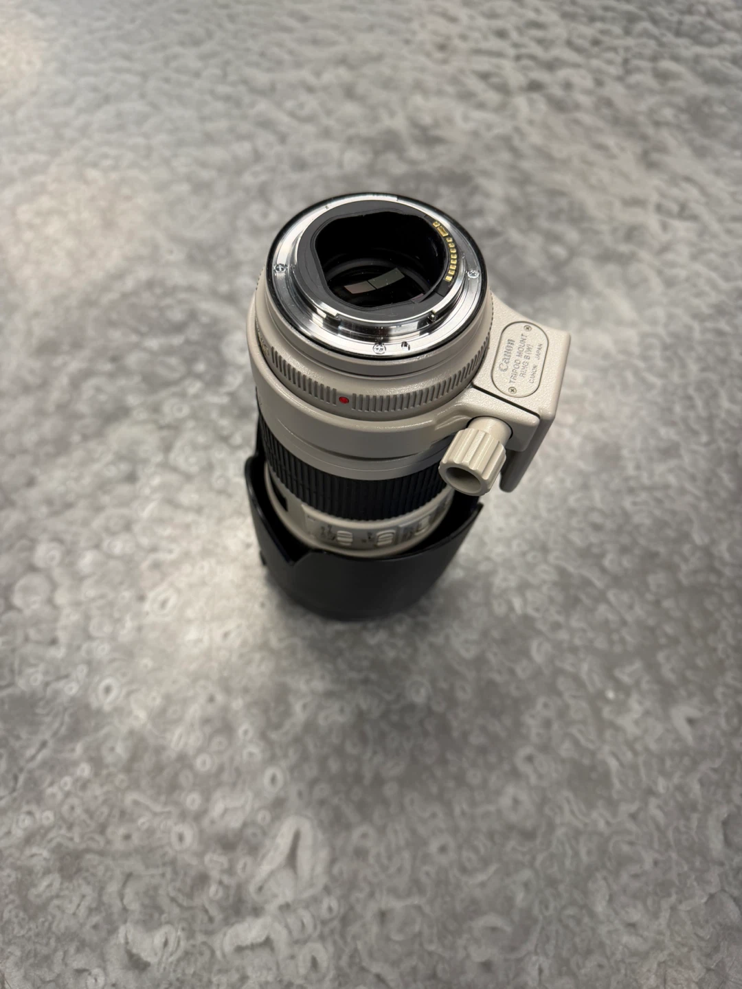 Canon EF 70-200mm f/2.8L IS USM Lens - photo 5