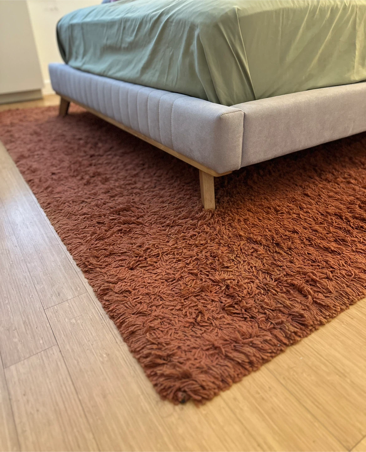 Santra Terracotta Indoor Rug