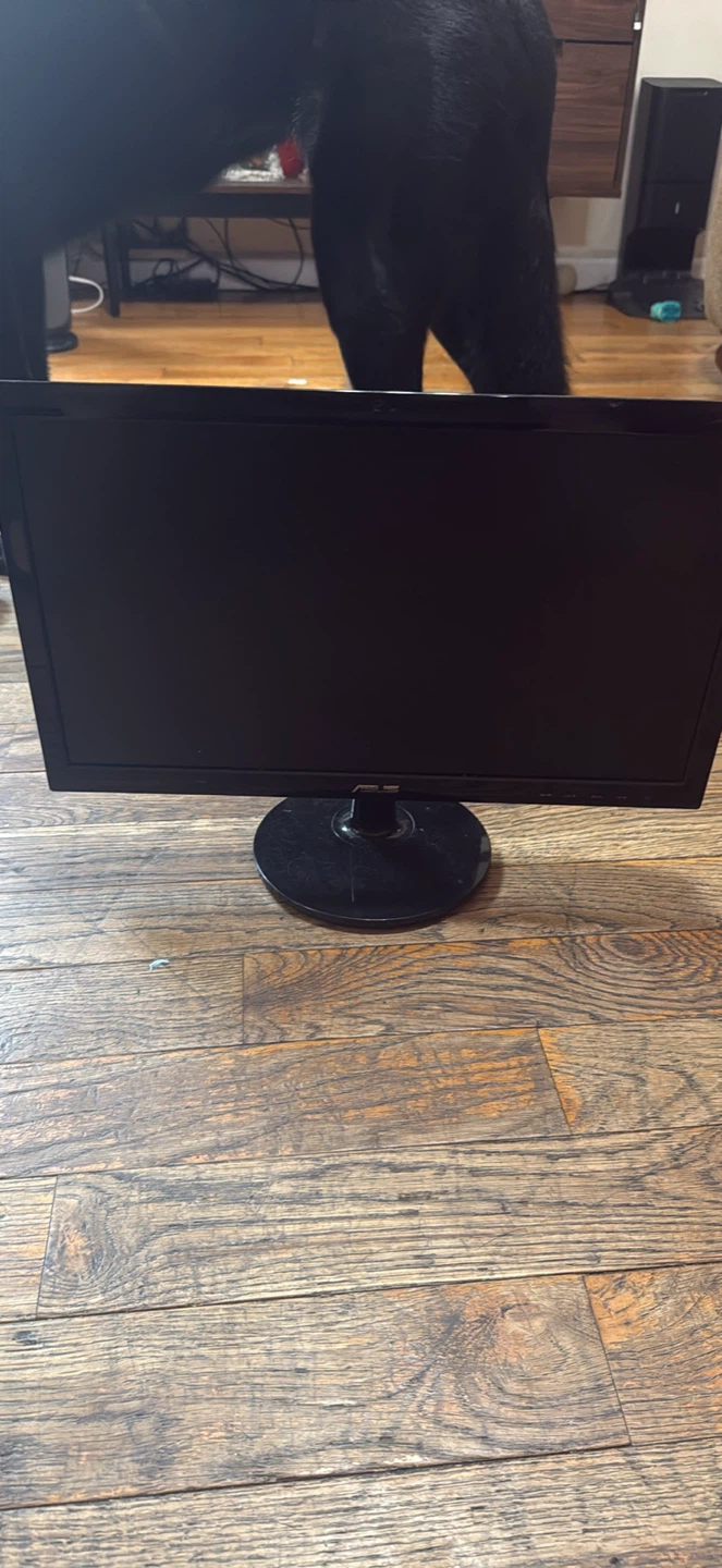 ASUS Computer Monitor
