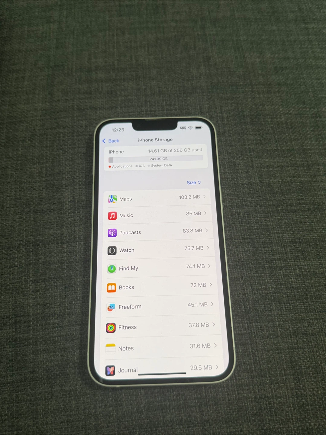 Apple iPhone 13 - photo 5