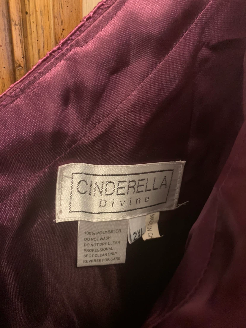 Cinderella Divine Embroidered Gown - photo 3