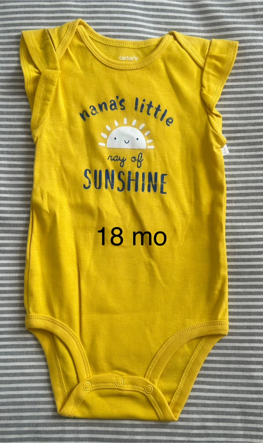 Carter's Baby Girl Clothes Bundle - 18 Months - photo 5
