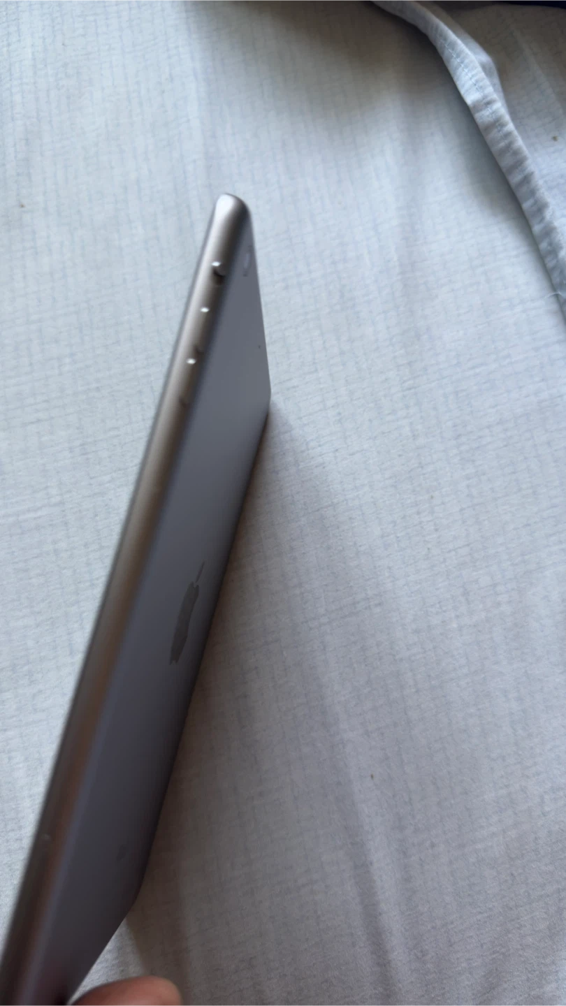 Apple iPad mini 2 - 16GB - photo 4