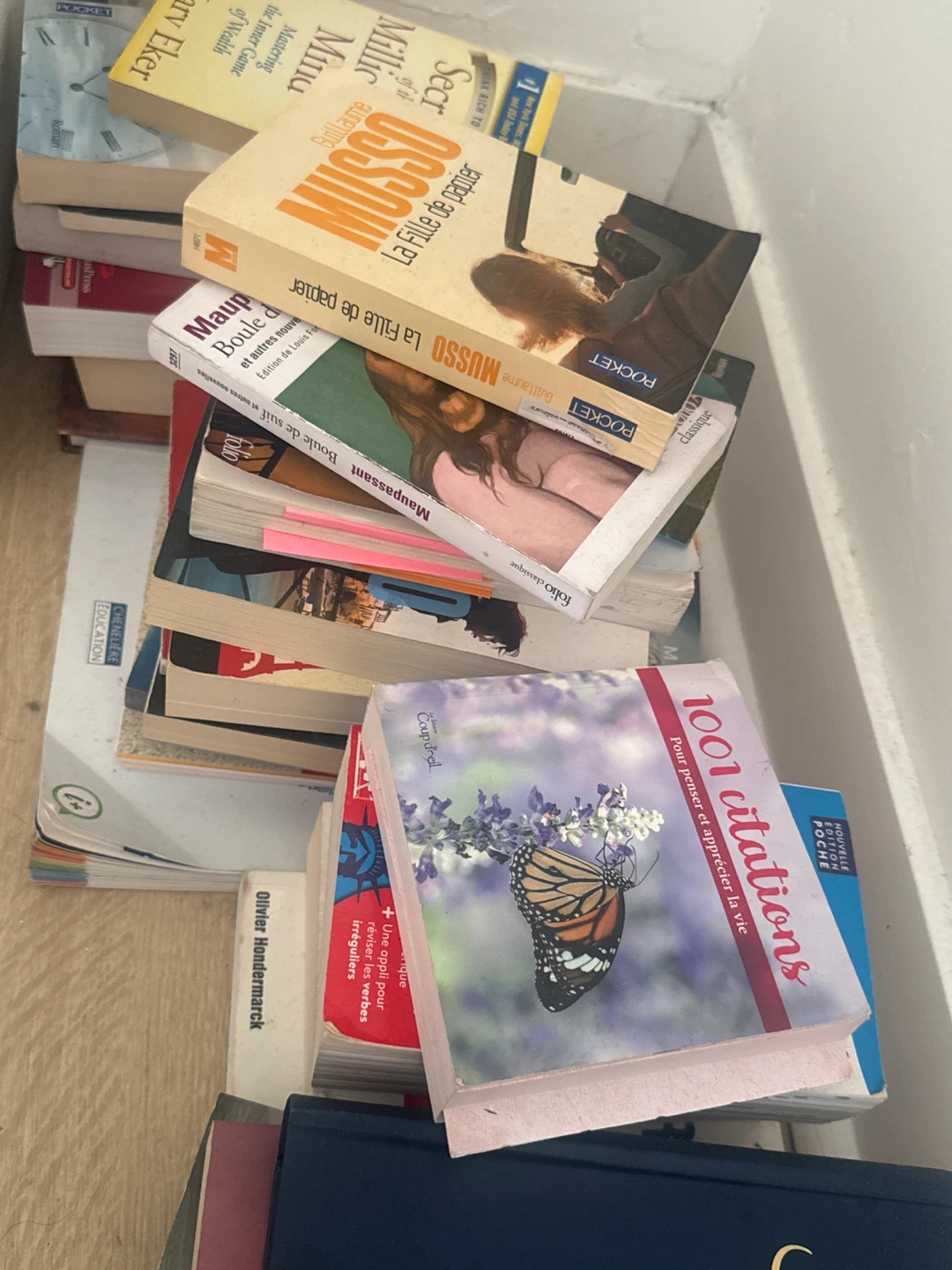 Collection of French Books - Guillaume Musso, Maupassant & More