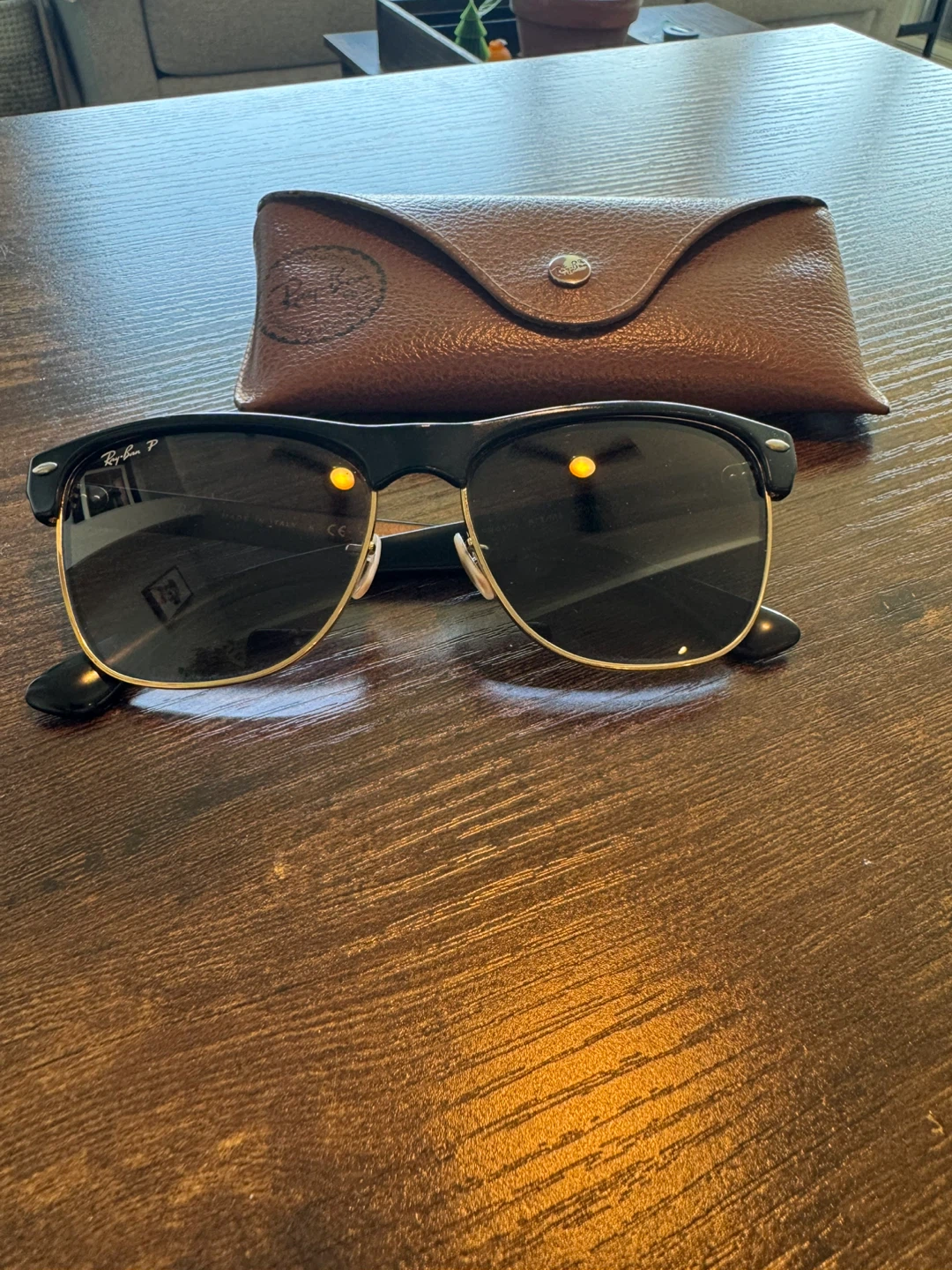 Ray-Ban RB 4175 Sunglasses