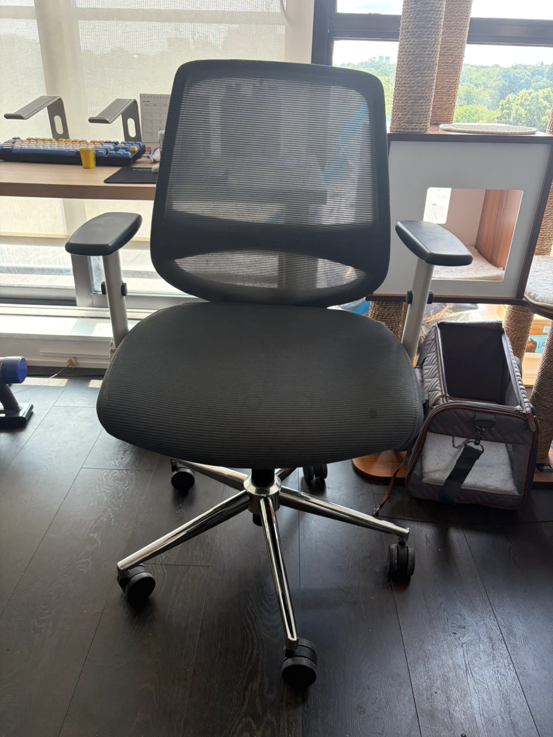 Branch Office Chair