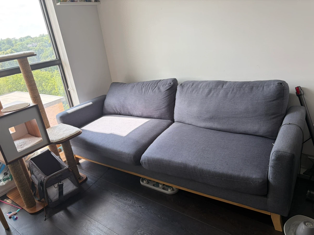 Gray Sofa