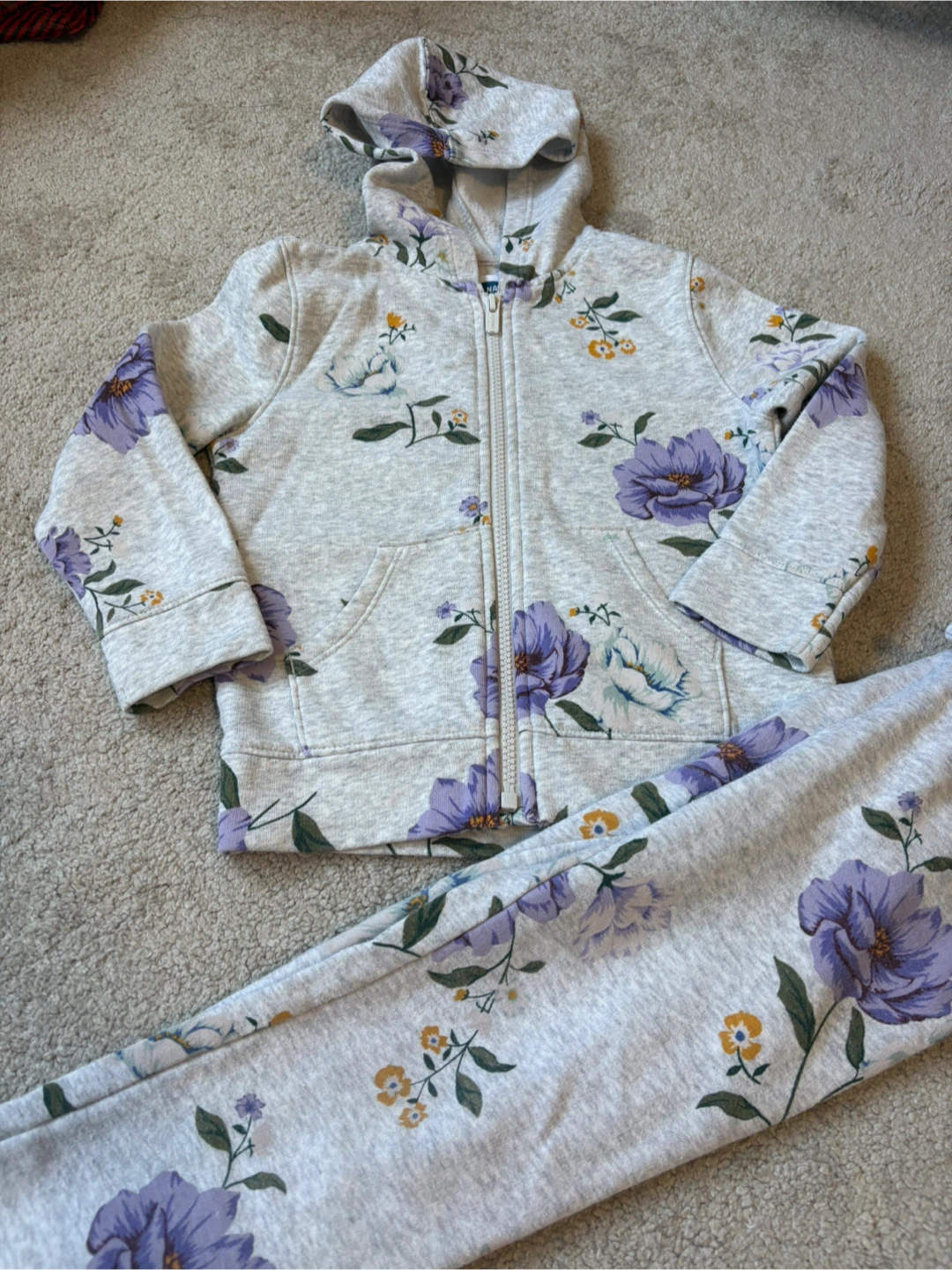 Old Navy Floral Hoodie and Sweatpants Set