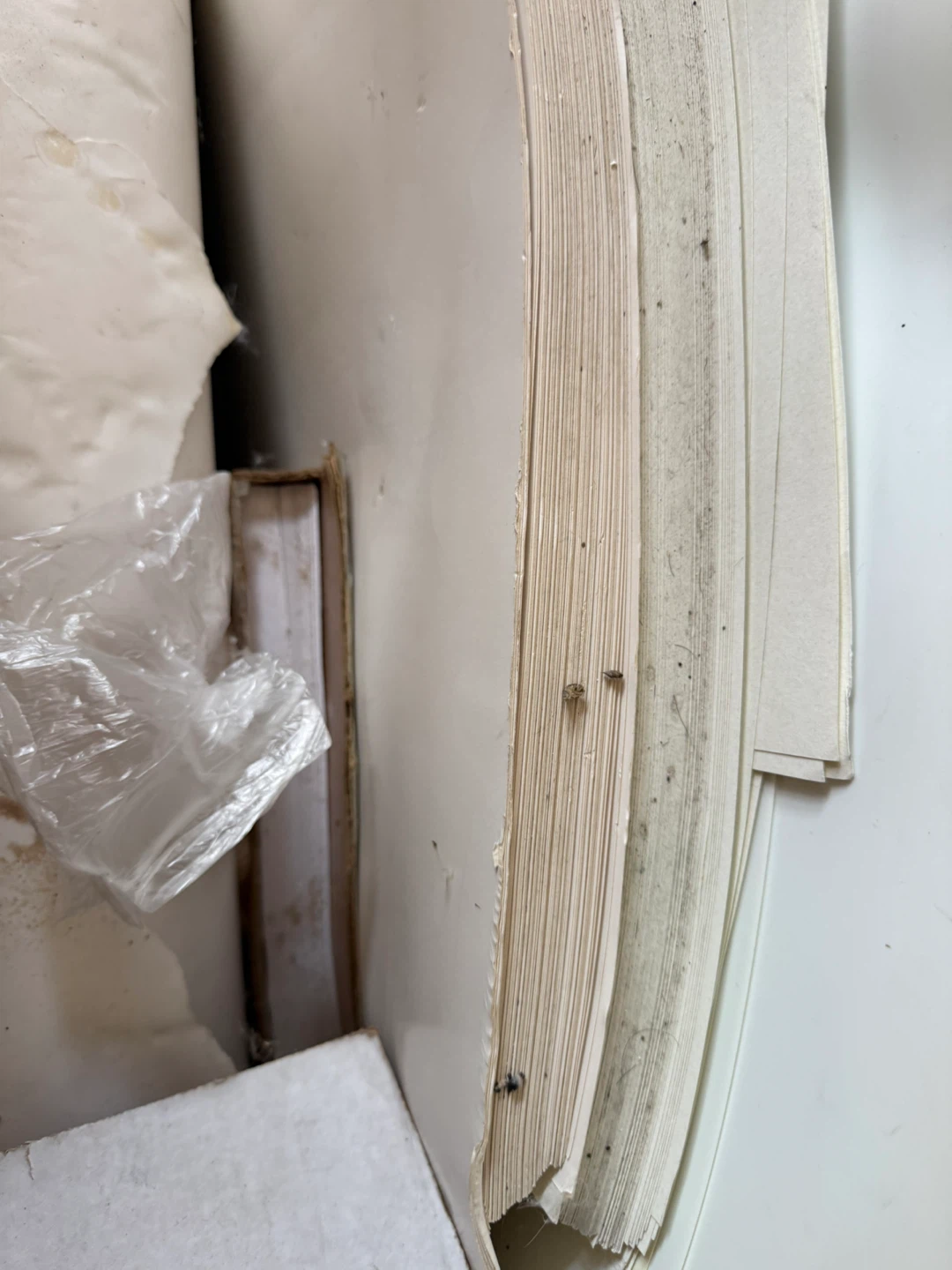 Different Paper For Art