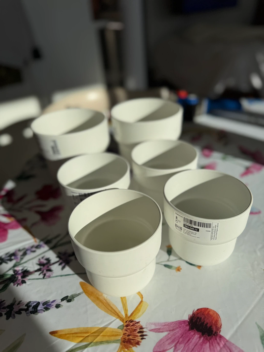 Plant Pots (Set of 6)