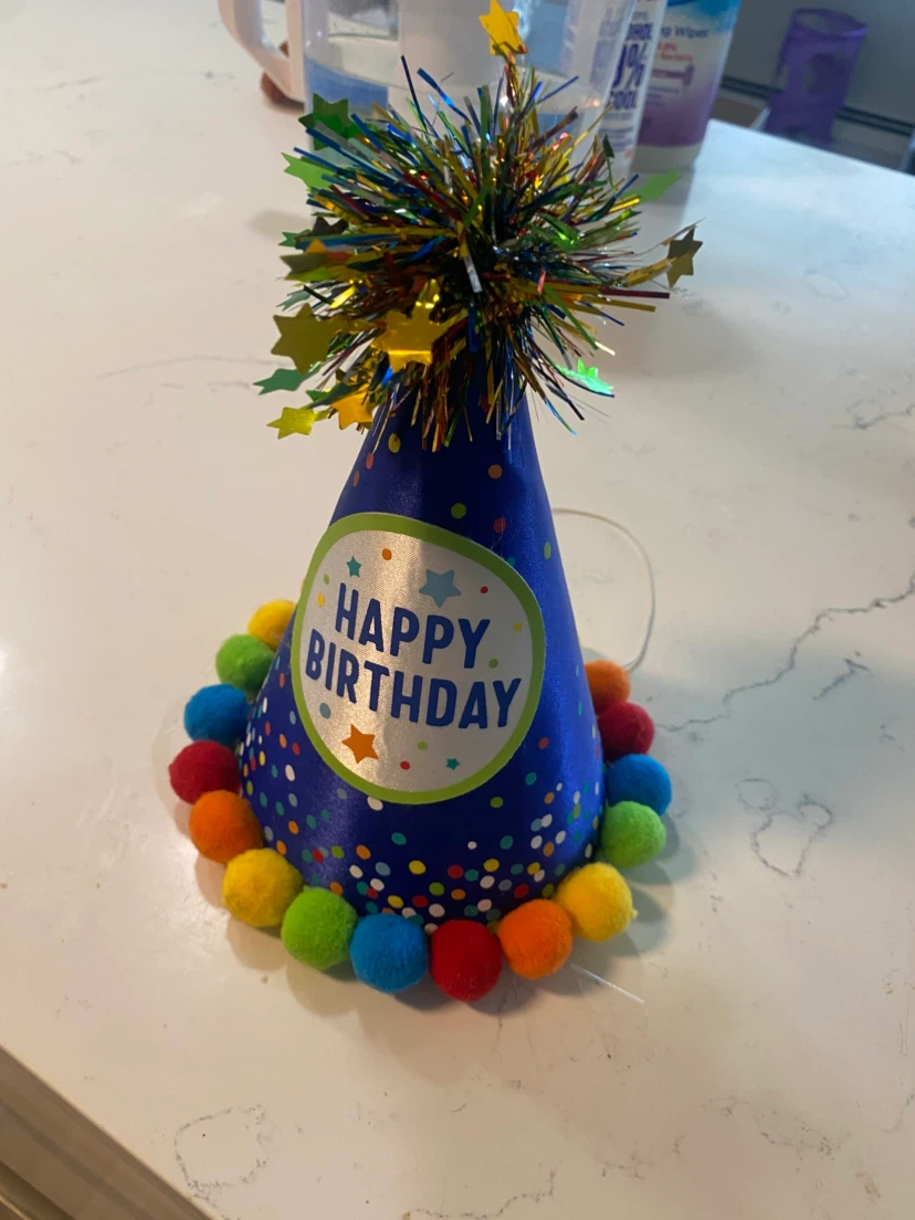 Happy Birthday Party Hat