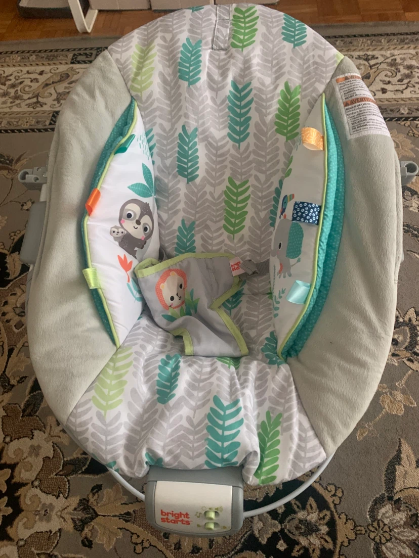 Bright Starts Baby Bouncer Seat