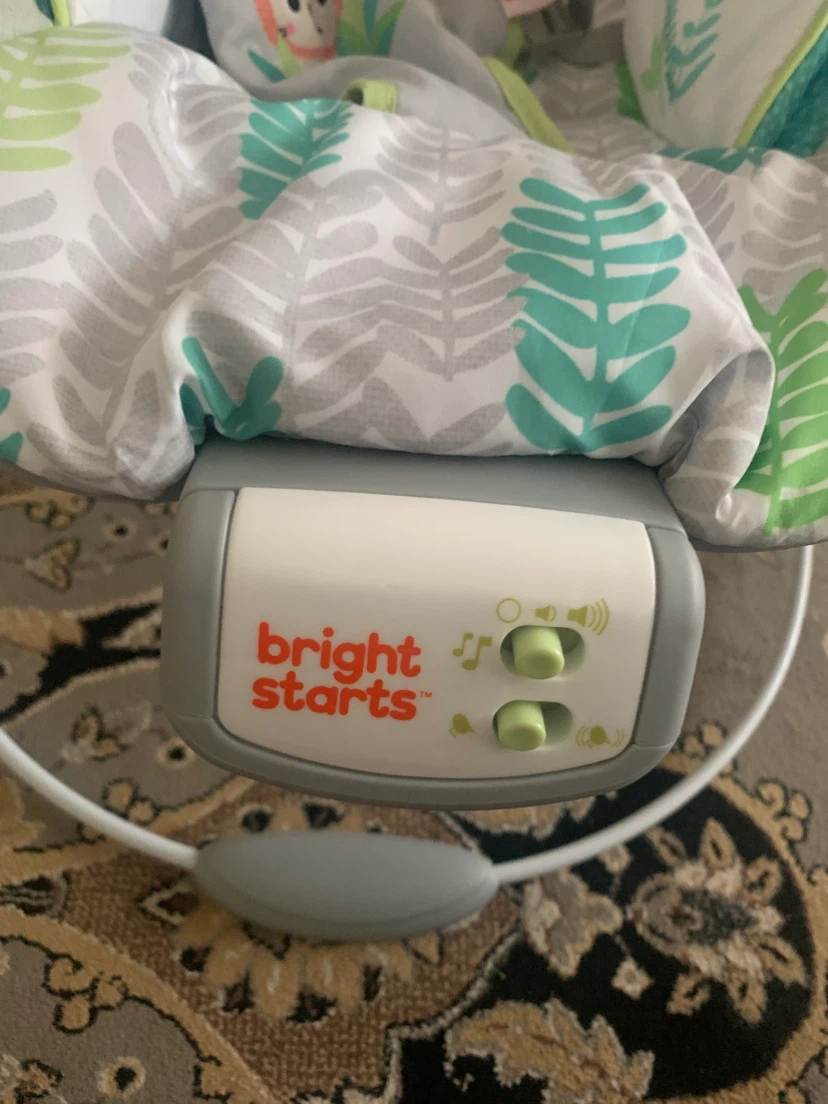 Bright Starts Baby Bouncer Seat - photo 2