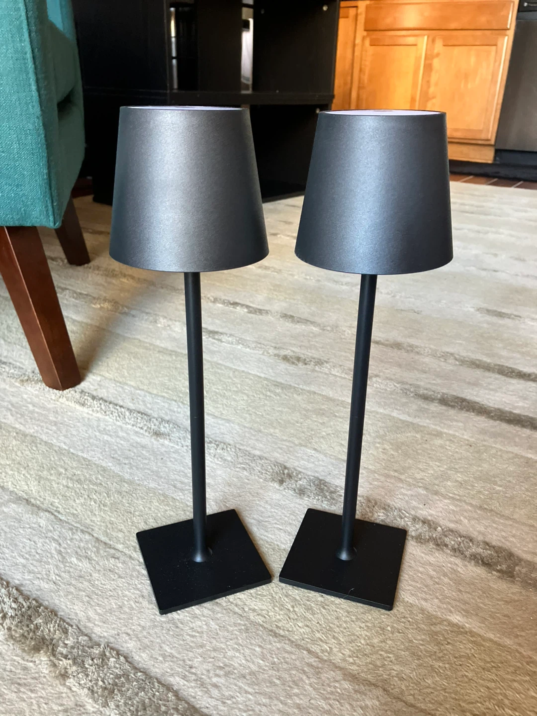 Set of 2 Black Cordless Table Lamps