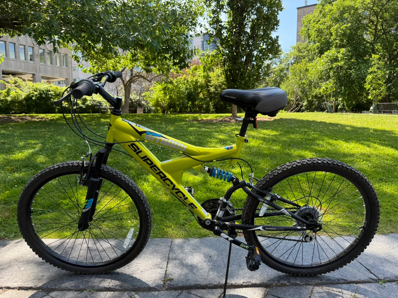 Supercycle Mountain Bike