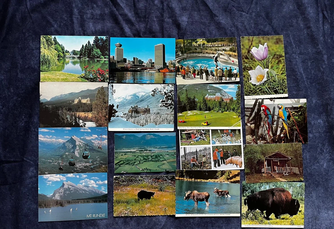 1950-1960 Canadian Landscape and Wildlife Postcards - photo 2
