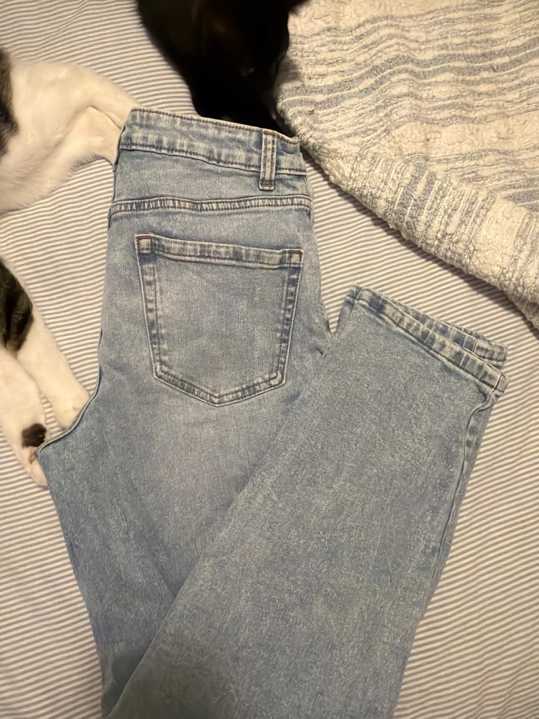NO BOUNDARIES Light Wash Ripped Jeans Size 7 - photo 2