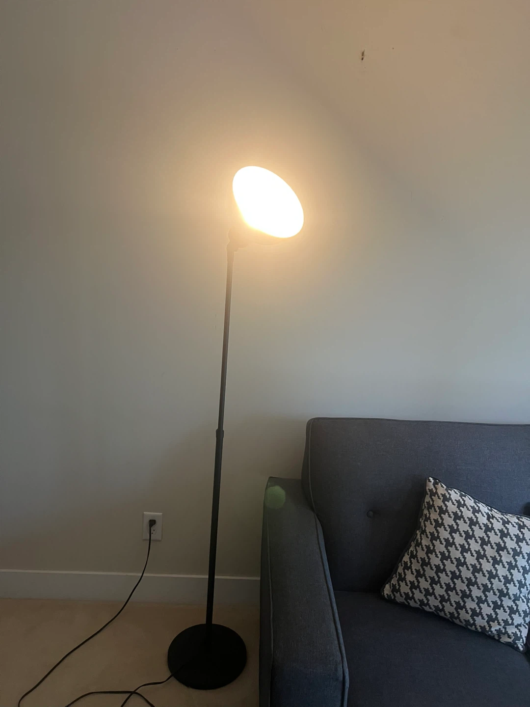 Black Floor Lamp with Adjustable Neck