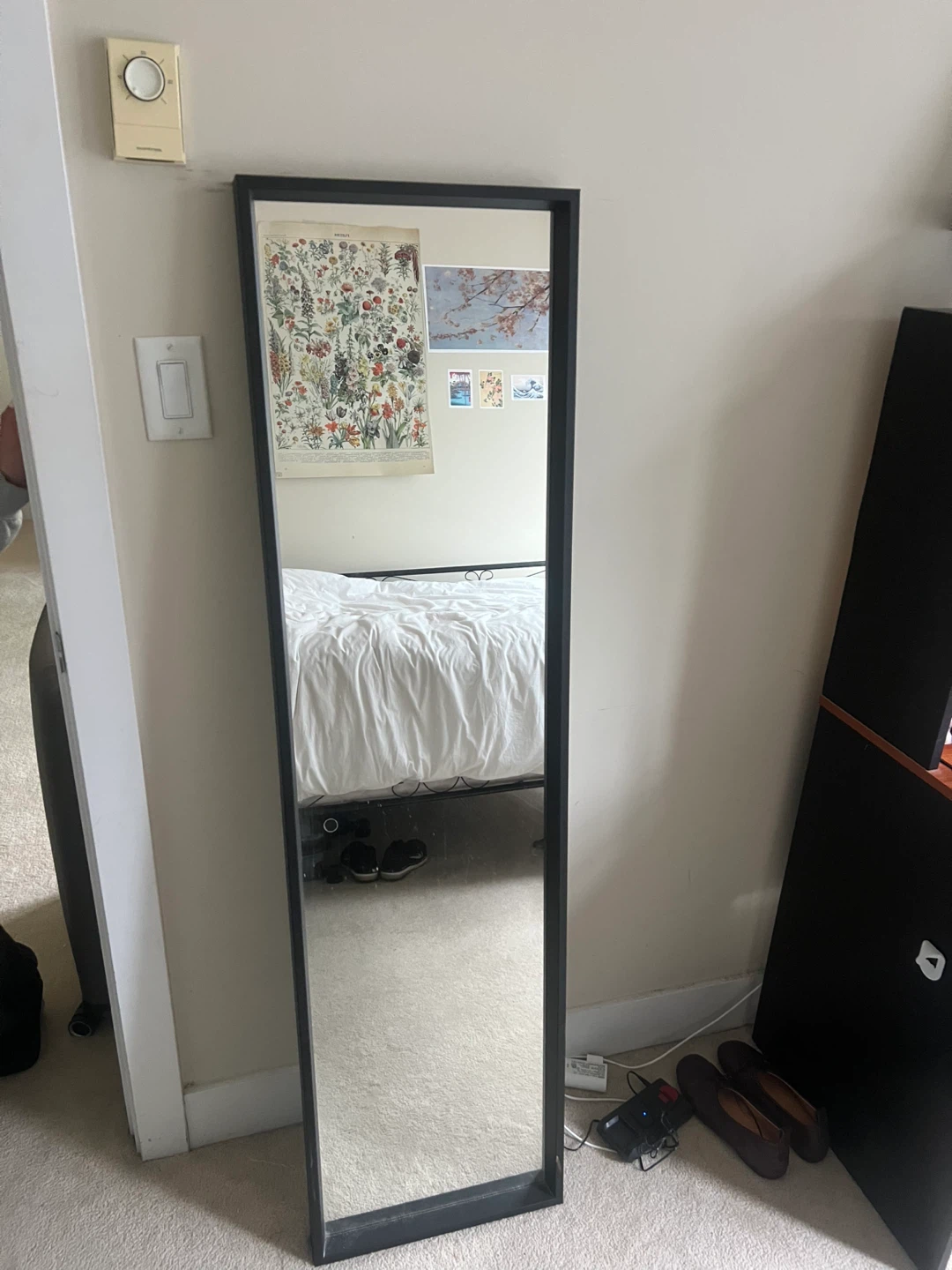 Tall Black Framed Mirror