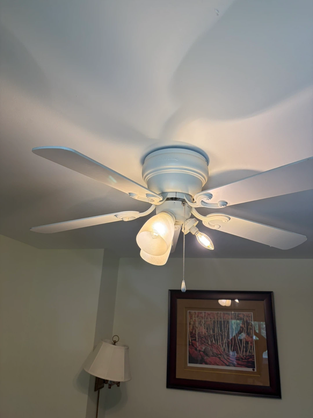 Hunter Ceiling Fan with Lights