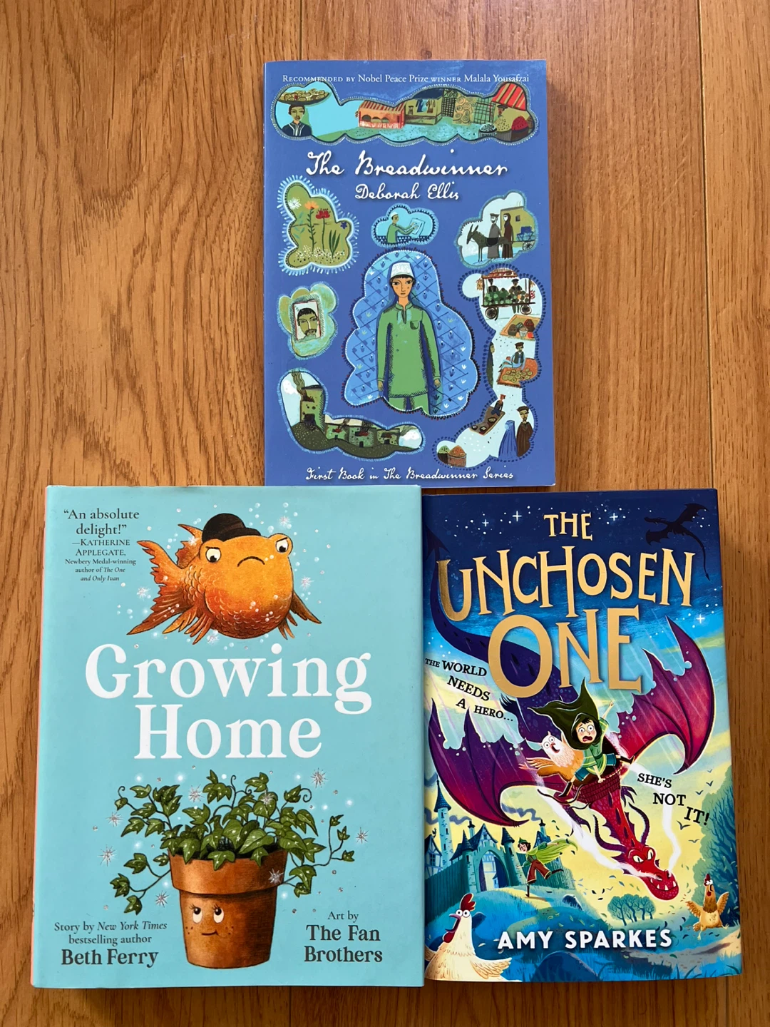 Children’s Novels $10 for all 3!