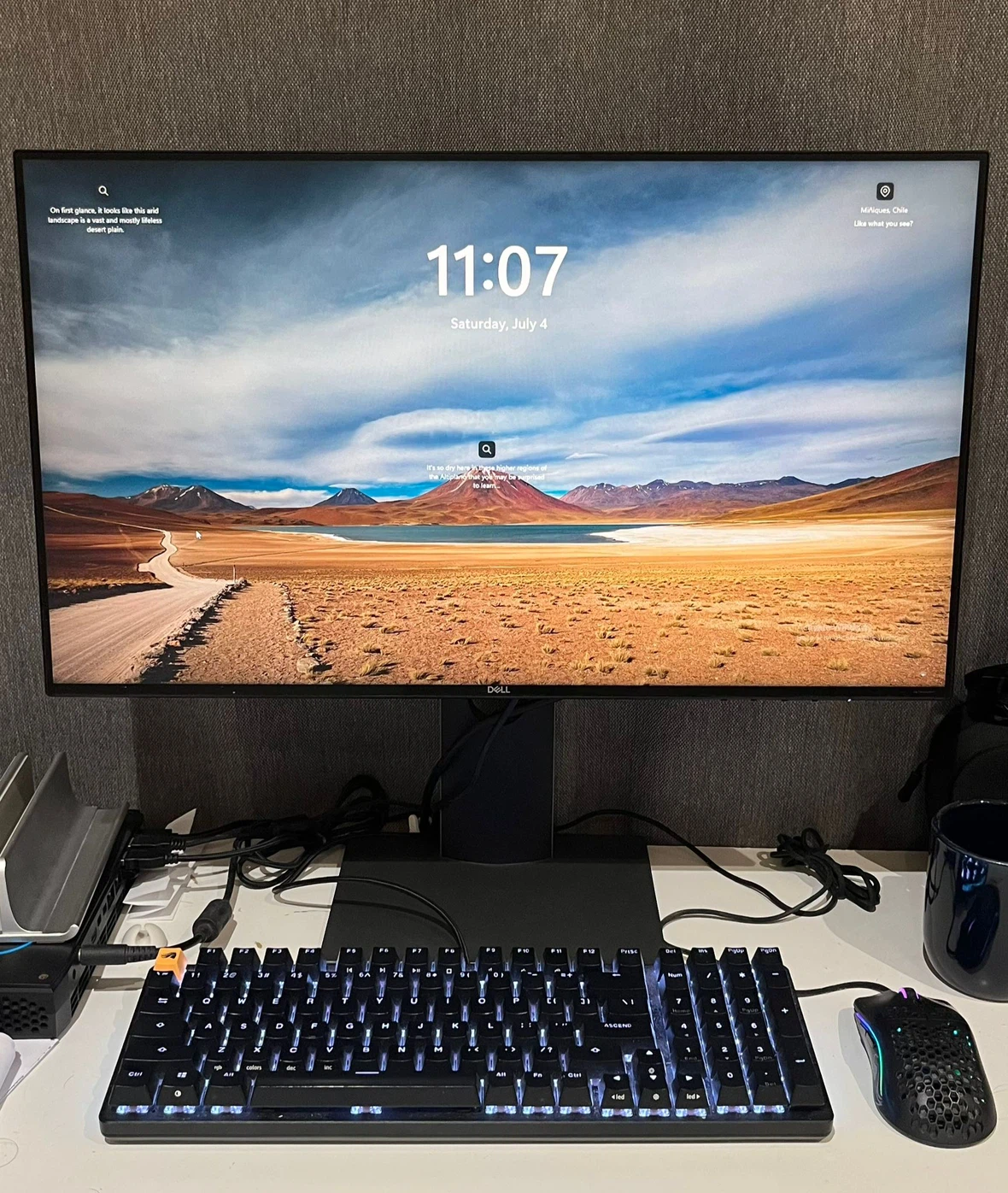 Dell Monitor 24in with stand