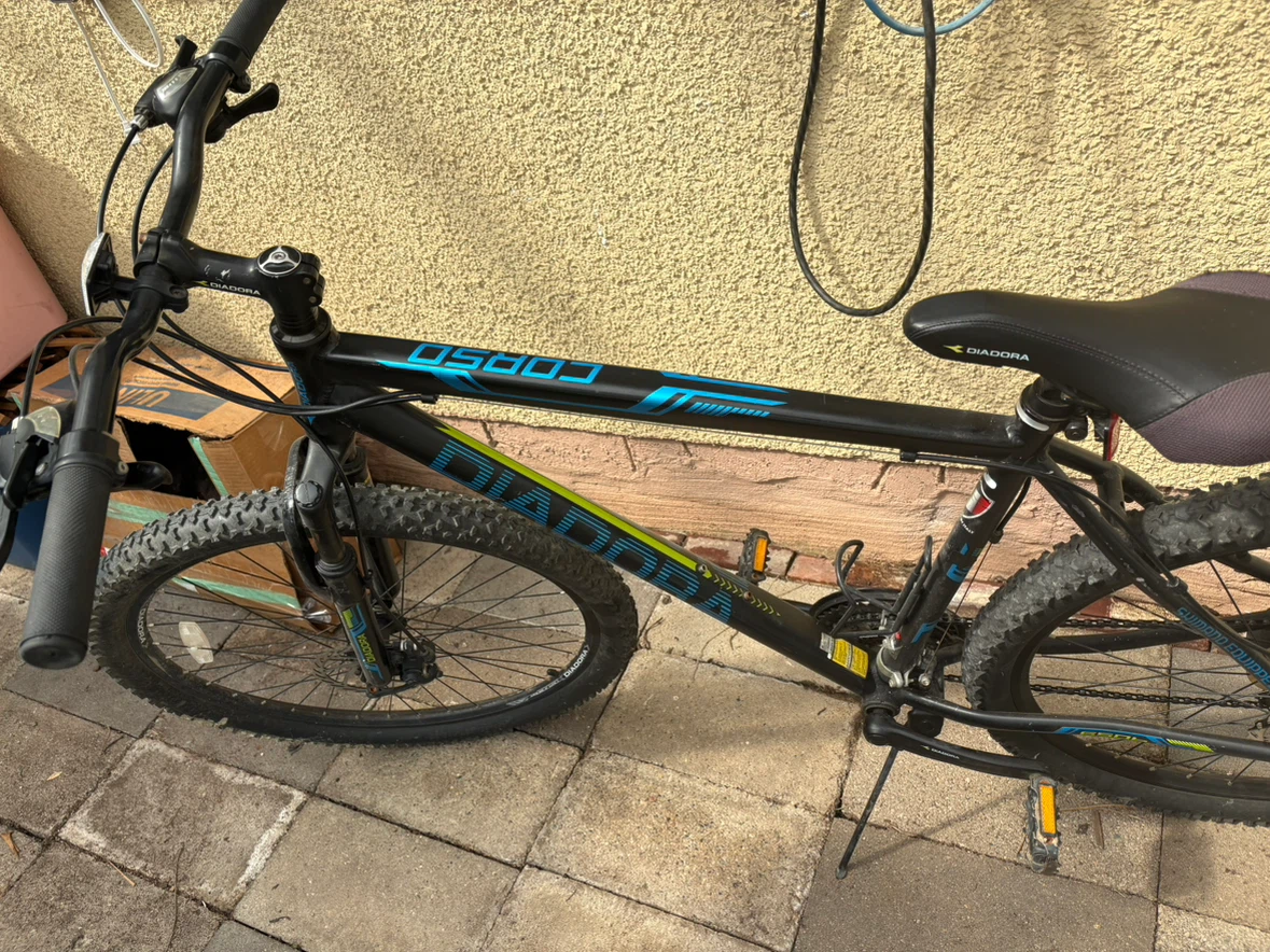 Mountain Bike