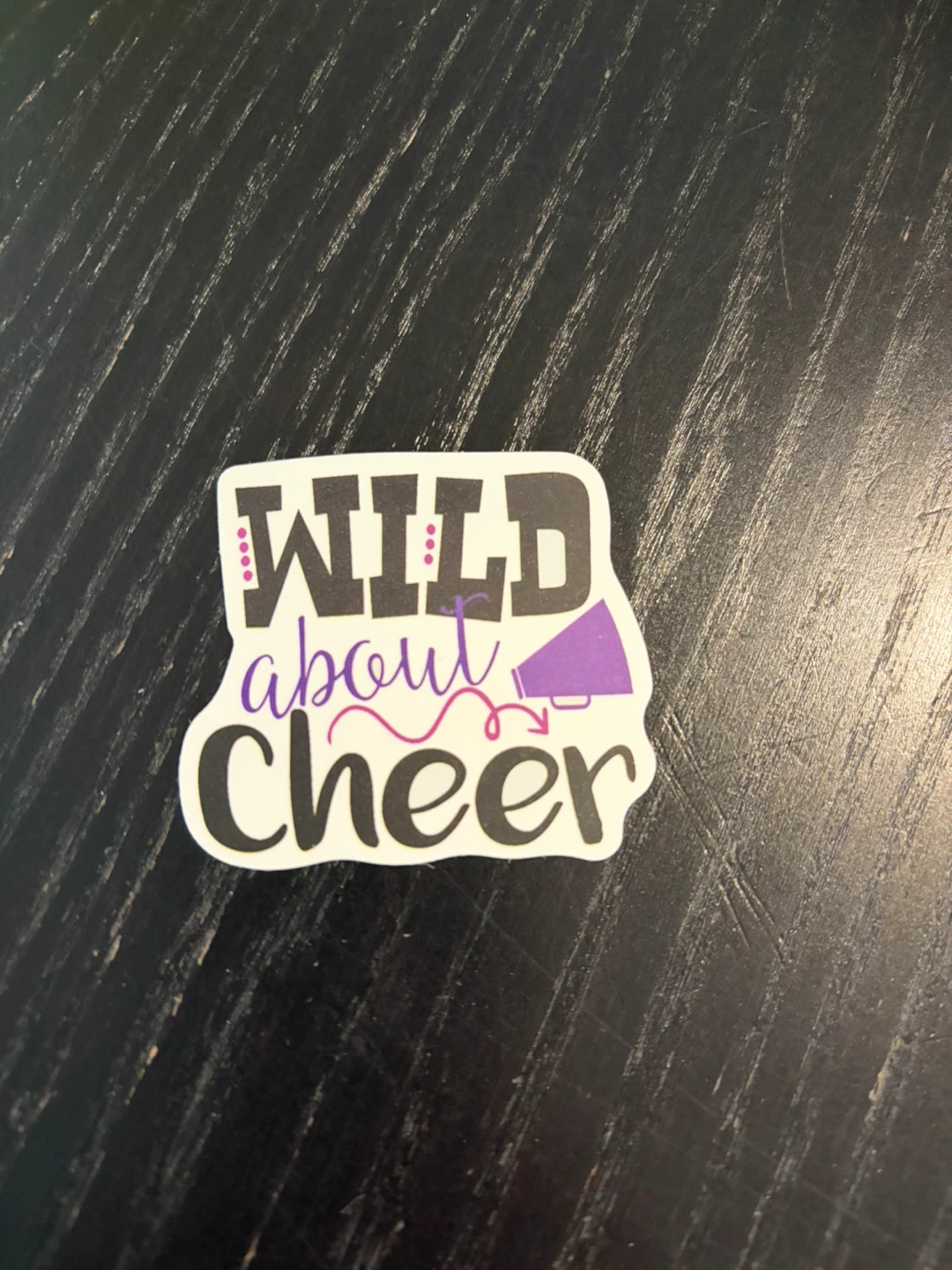 Cheerleader Sticker Pack - photo 4