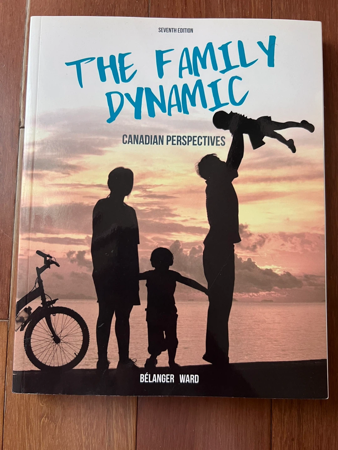 The Family Dynamic: Canadian Perspectives (Seventh Edition)