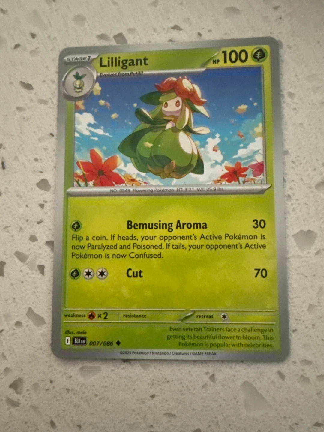 Pokémon Trading Card Lot