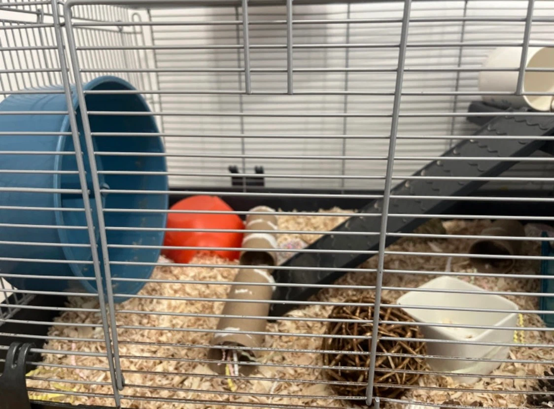 Small Pet Cage with Accessories - photo 3