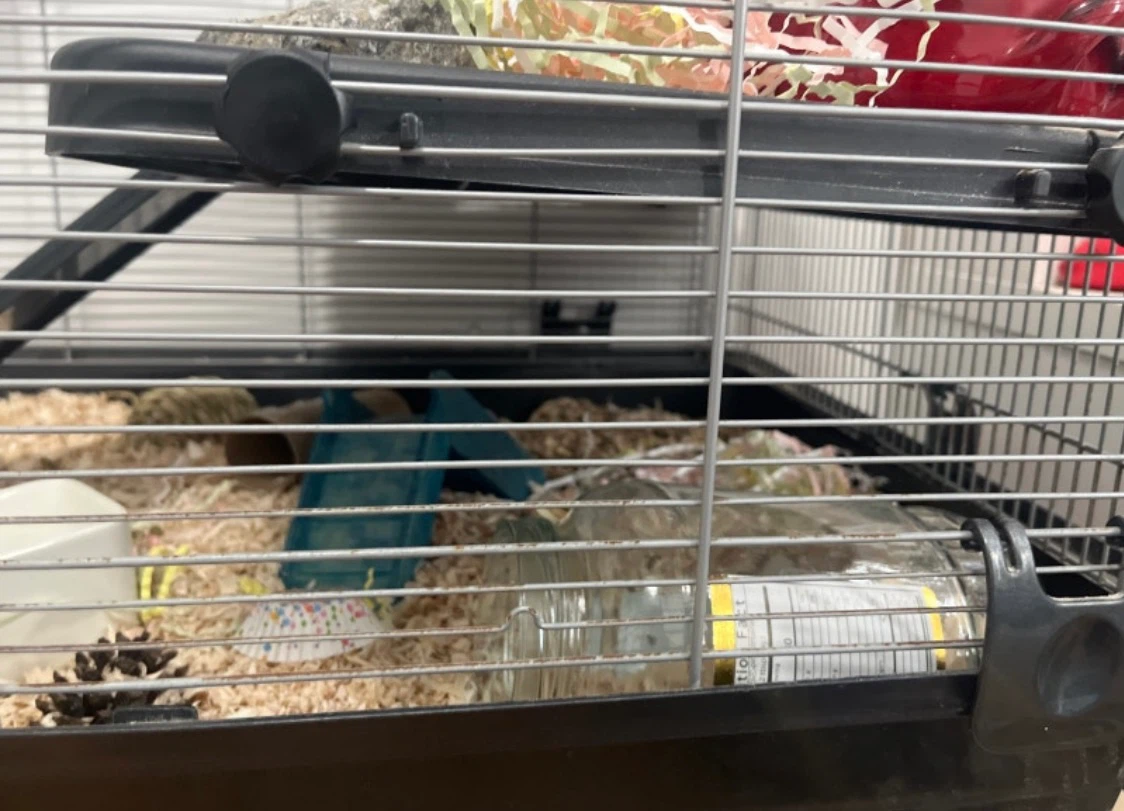 Small Pet Cage with Accessories - photo 4