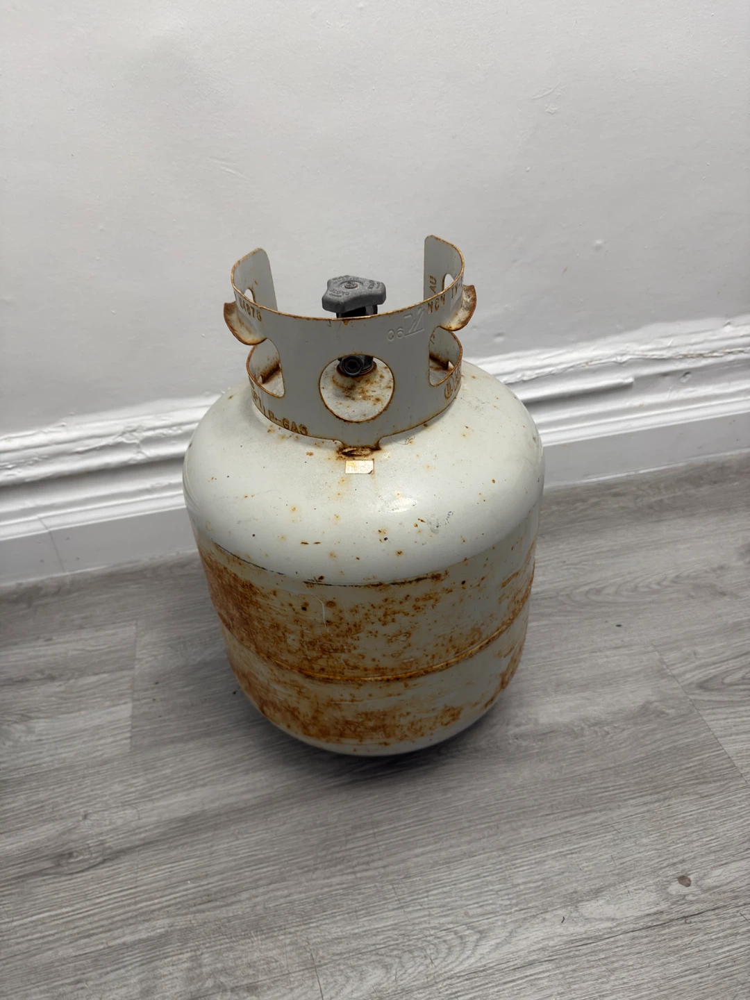 Propane Tank - photo 3