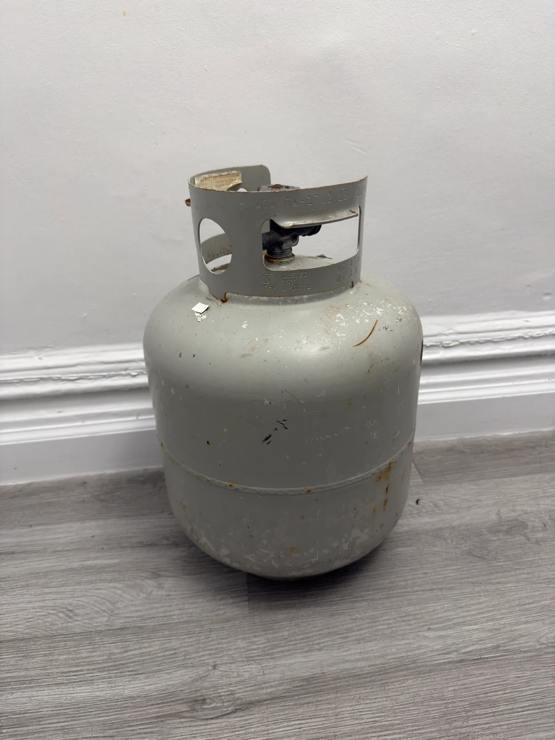 Propane Tank - photo 5
