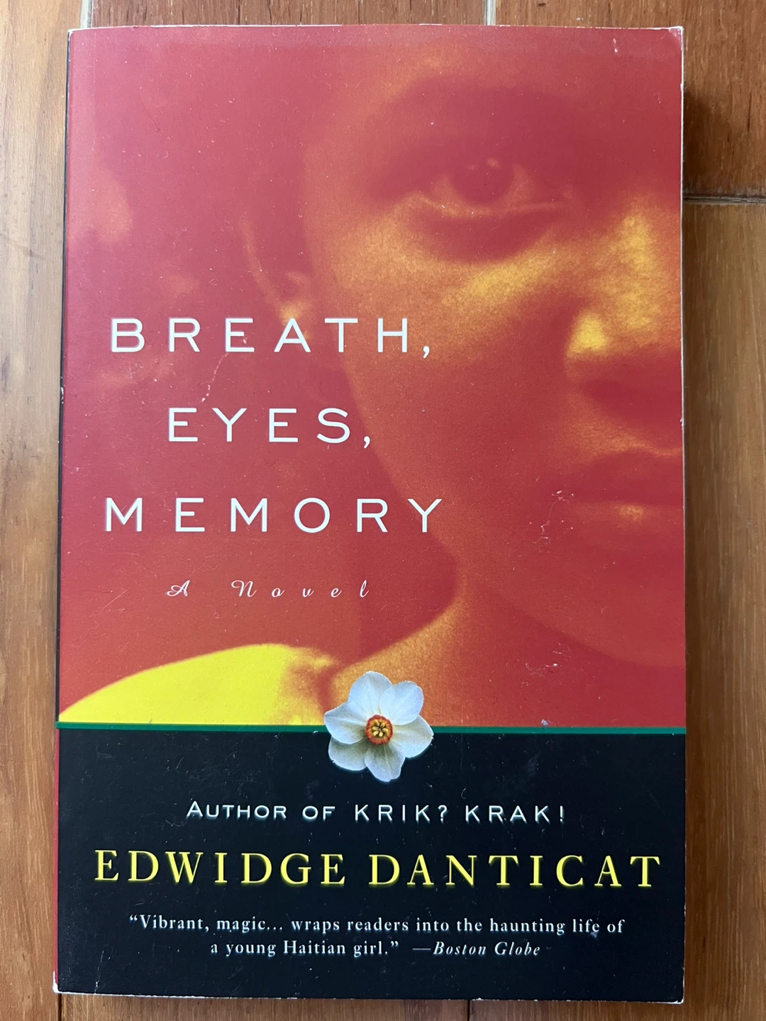 Breath, Eyes, Memory by Edwidge Danticat Novel