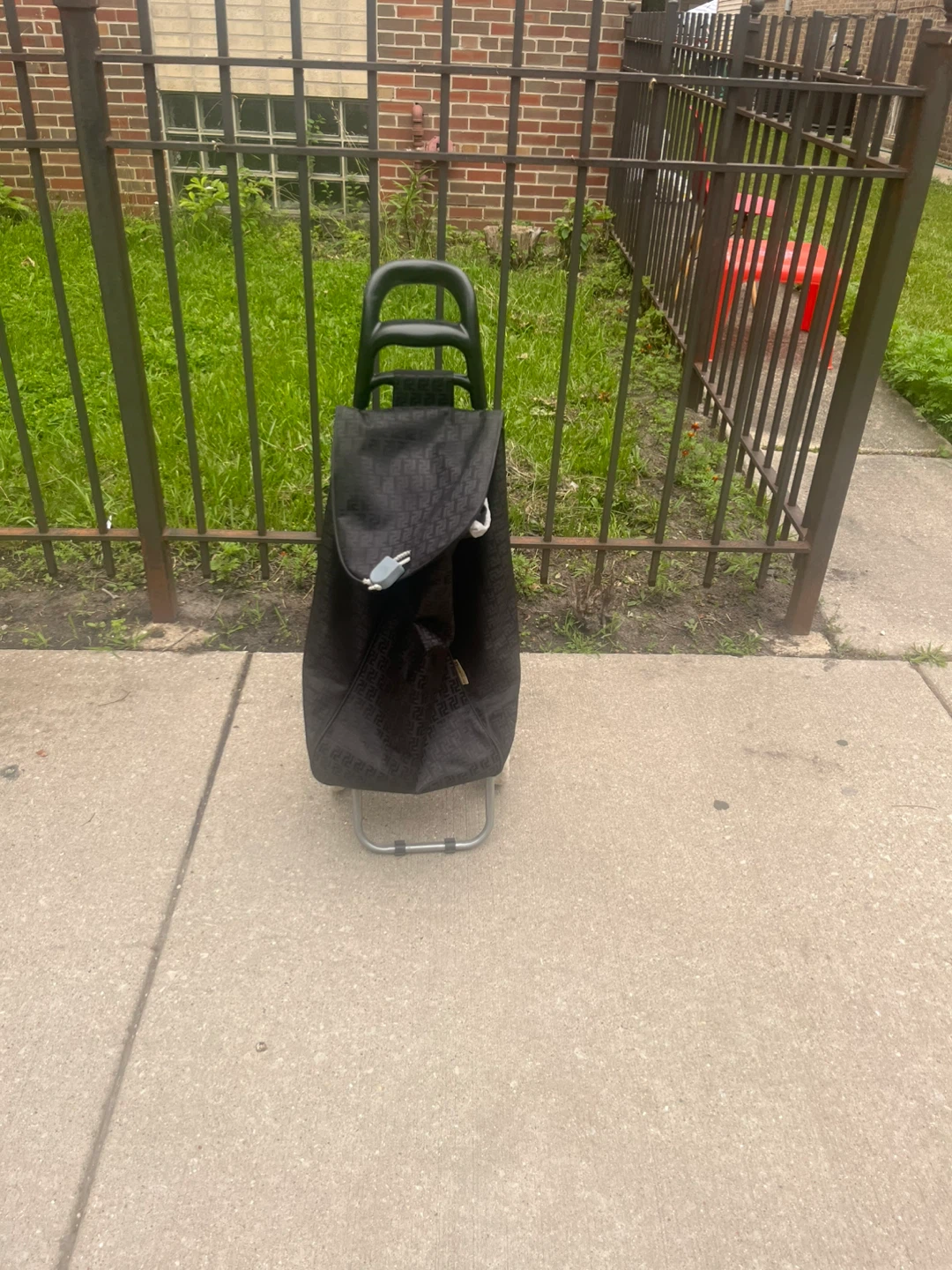 Black Rolling Shopping Cart with Pattern